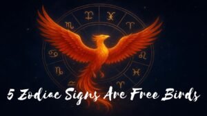 Top 5 Zodiac Signs Who Are Free Birds